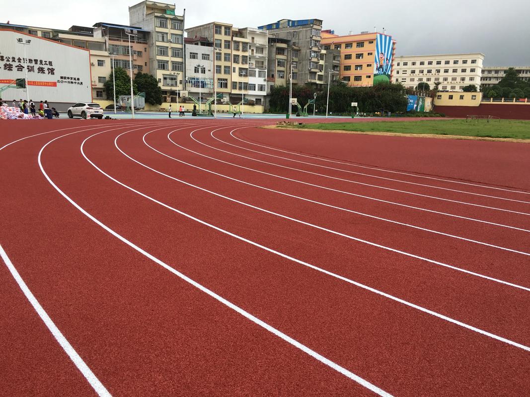 濮阳市EPDM颗粒塑胶跑道材料 - 排名